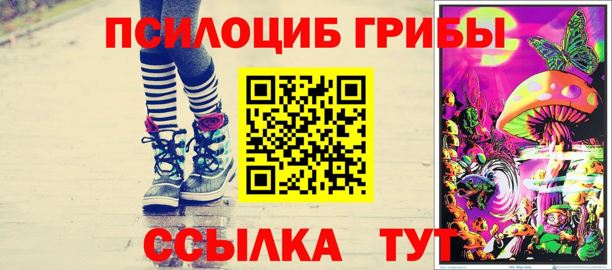 купить закладку  Псилоцибиновые грибы прущие грибы  Вход с VPN  Муравленко 